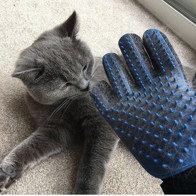 Рукавичка для вичісування шерсті True Touch, Тру Тач, Pet Glove – фото 1