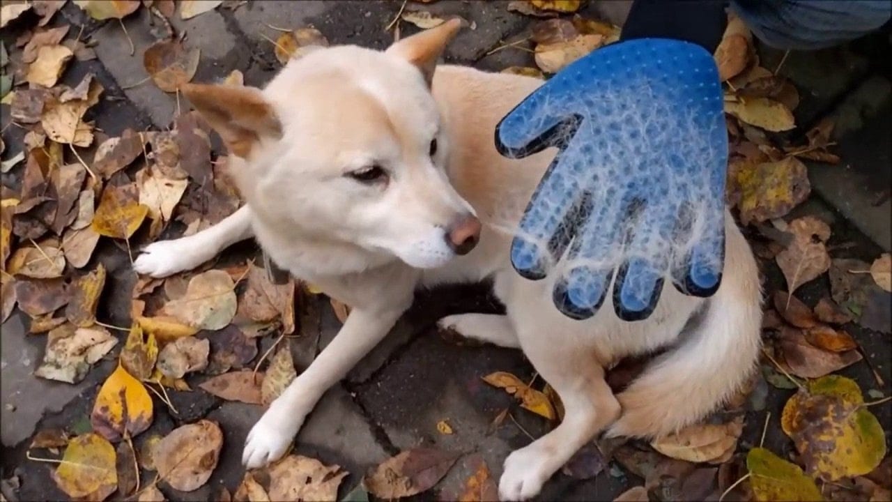 Рукавичка для вичісування шерсті True Touch, Тру Тач, Pet Glove – фото 9