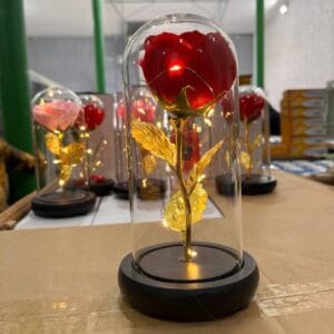 Троянда в колбі з LED МАЛЕНЬКА NoA54 Червона