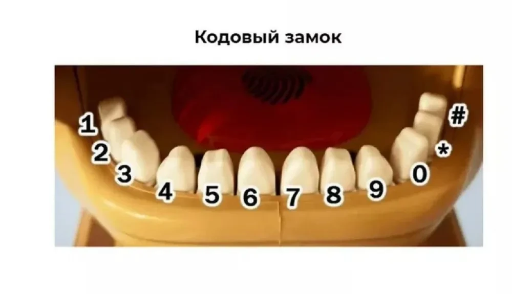 Скарбничка для грошей “Собака” Sebar, 14х18 см, 1 шт. – фото 1