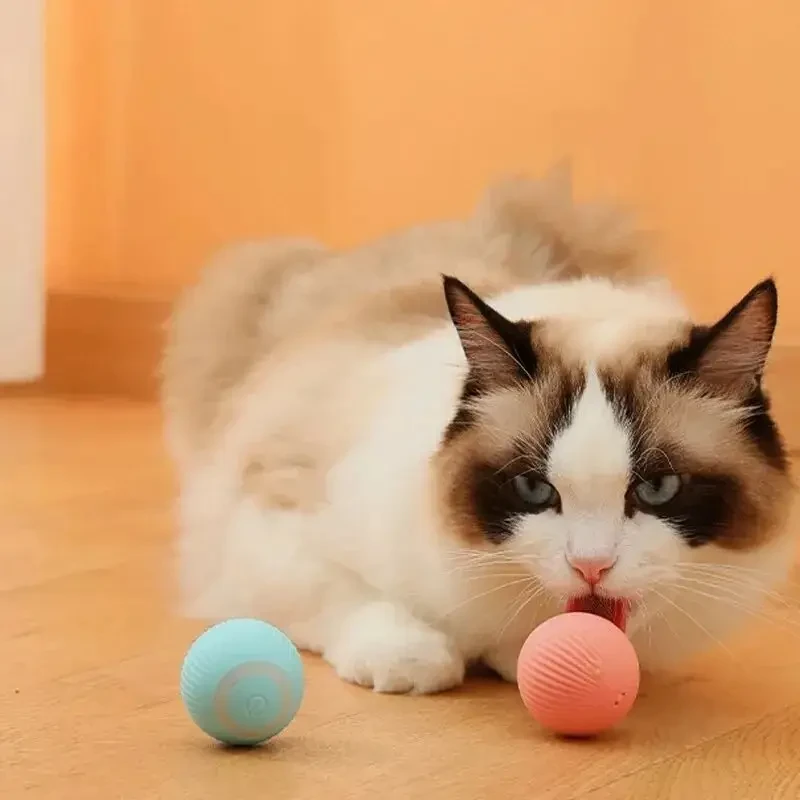 Іграшка для кішок Stress Cat/ Кулька із силовою гравітацією, який сам катається для котів і кошенят LY-599 – фото 1