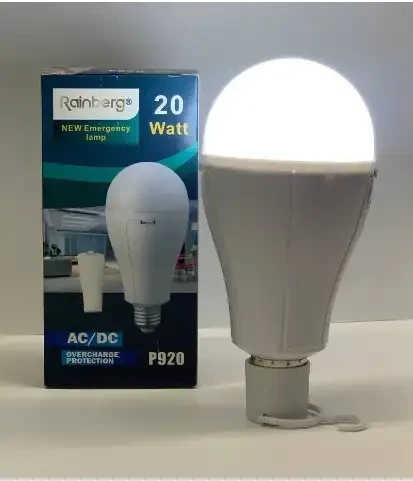 Енергоощадна лампа 20w з 2 змінними акумуляторами та зарядкою 18650, Rainberg P920 – фото 6