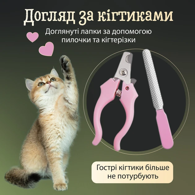 Машинка для стриження тварин бездротова з набором аксесуарів Pet grooming hair clipper kit – фото 3