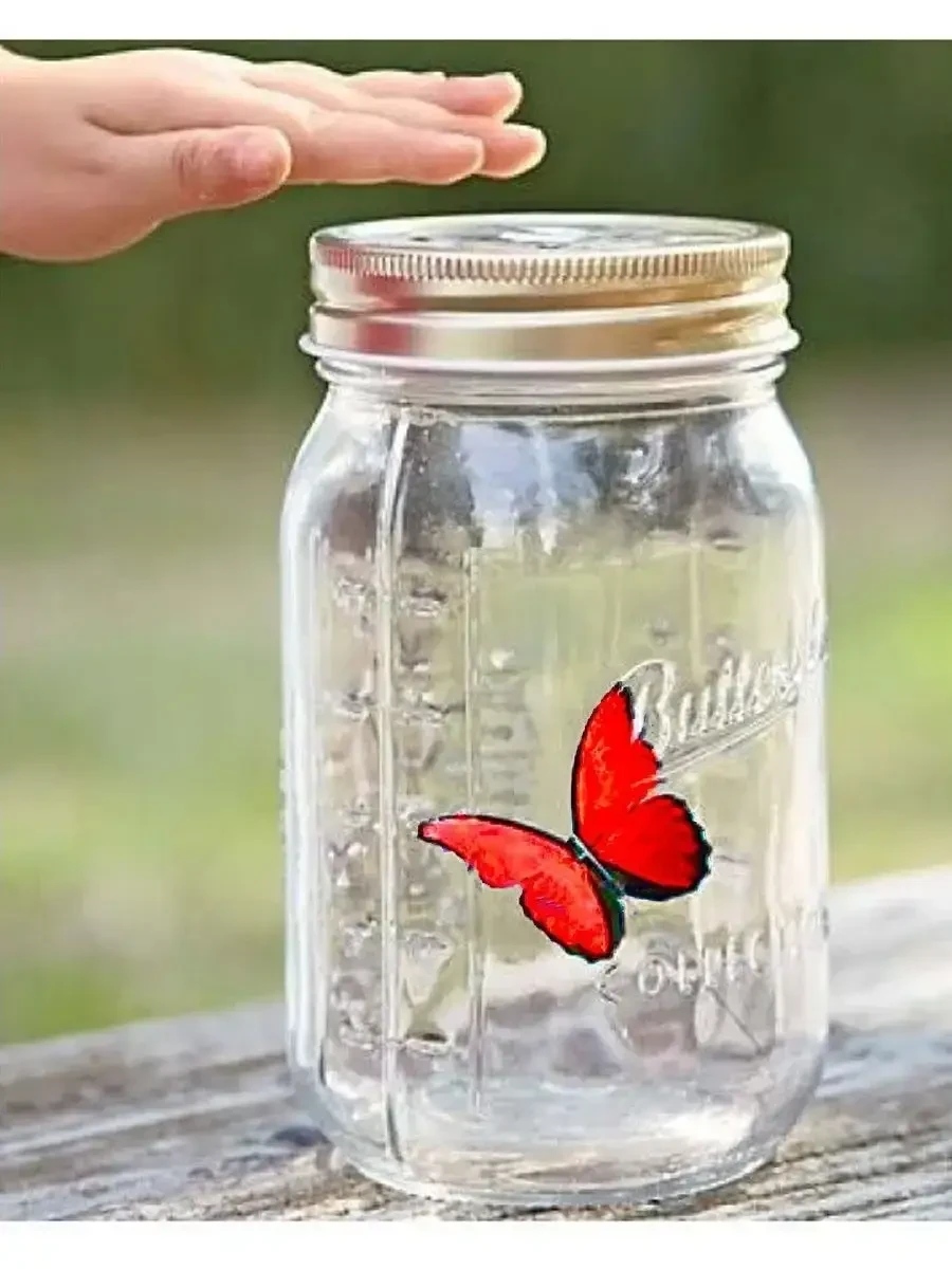 Декоративний нічник Метелик у банці Butterfly Інтерактивний пурхає метелик у банці з підсвіткою – фото 4