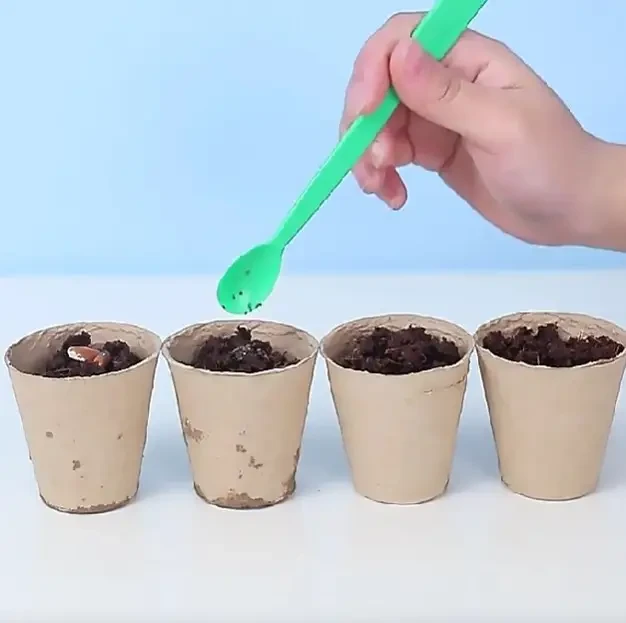 Набір для дослідів домашня теплиця Home made plant Ігровий набір теплиця для вирощування рослин із насінням – фото 6