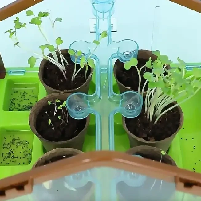 Набір для дослідів домашня теплиця Home made plant Ігровий набір теплиця для вирощування рослин із насінням – фото 7