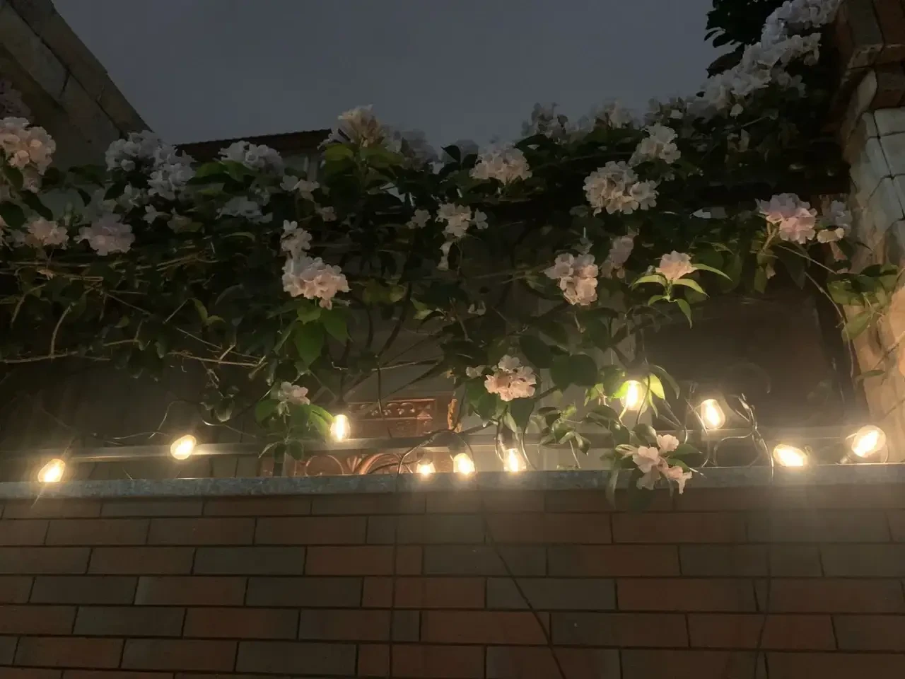 Декоративна гірлянда із сонячною панеллю Ретролампа SFK-13 Водонепроникні світлодіодні лампи-гірлянда