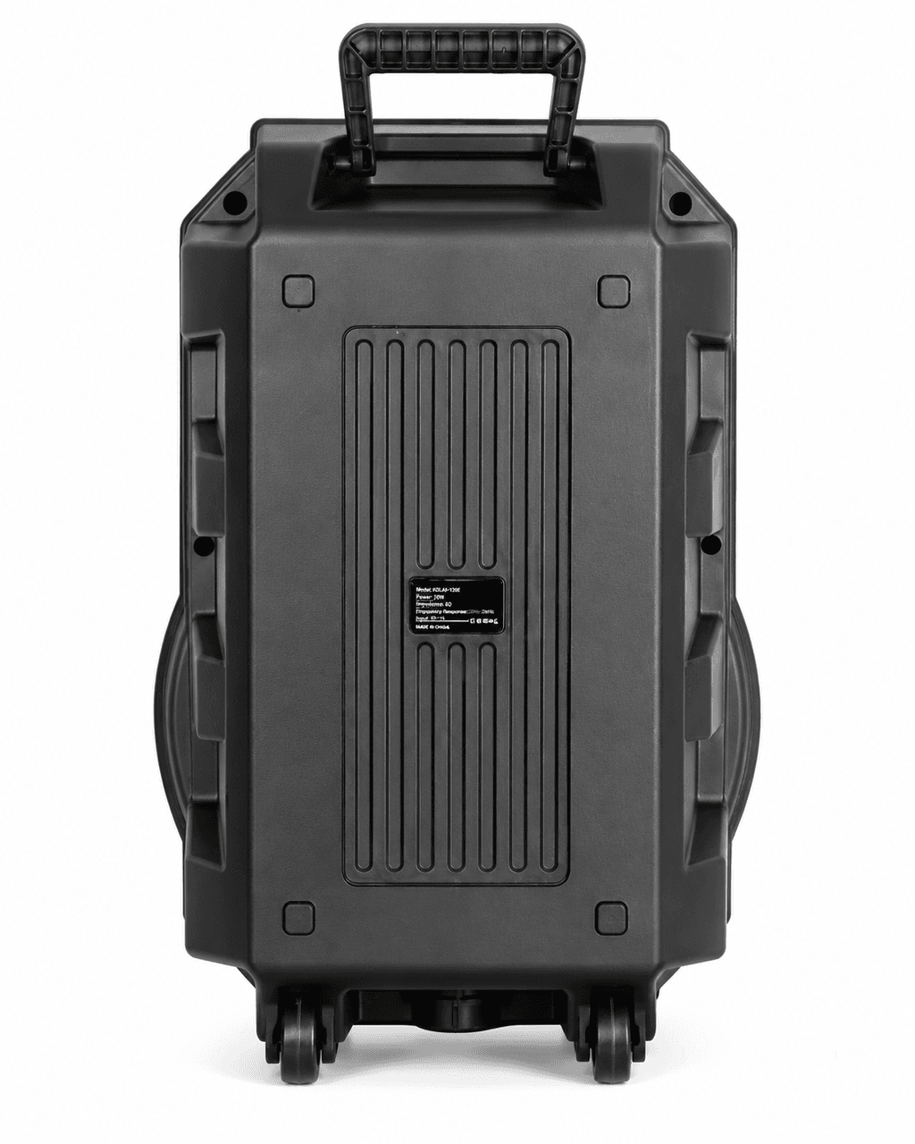 Портативна колонка Ailiang KOLAV-120E Bluetooth 12 дюймів 20 Вт