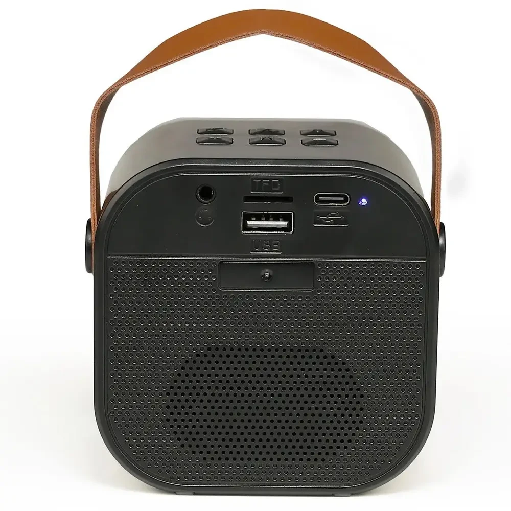 Караоке-система K12 з двома мікрофонами, Bluetooth, чорна