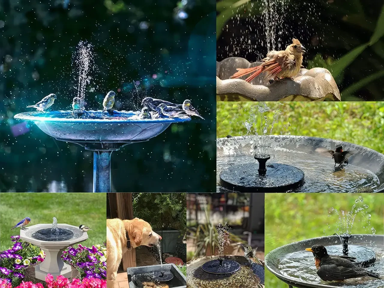 Плаваючий садовий фонтан із сонячною панеллю та різними насадками Solar Fountain Чорний
